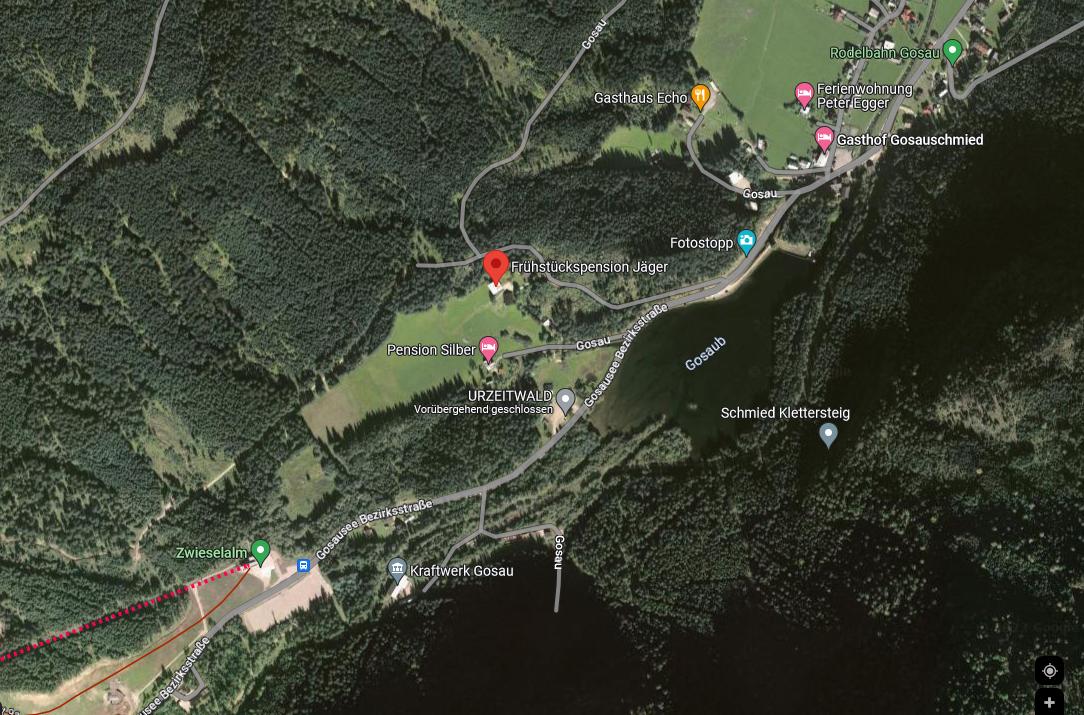 Das Bild zeigt ein Satelitenfoto von Gosau mit einer Markierung auf dem Haus Reit